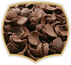 Choco shells cornflakes. Gama Food